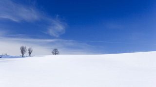 豪雪の資源化